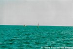 85_ile_yeu_pte_du_but_-la_chaume_-_sables_d_olonne_new.jpg - JPEG - 275.9 ko - 1180×796 px