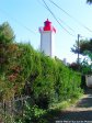 agay_aout_2014pict0007_new.jpg - JPEG - 1.5 Mo - 1536×2048 px