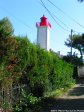 agay_aout_2014pict0008_new.jpg - JPEG - 1.4 Mo - 1536×2048 px
