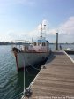img_6085_new.jpg - JPEG - 2.4 Mo - 2448×3264 px